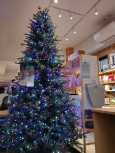クリスマスツリー