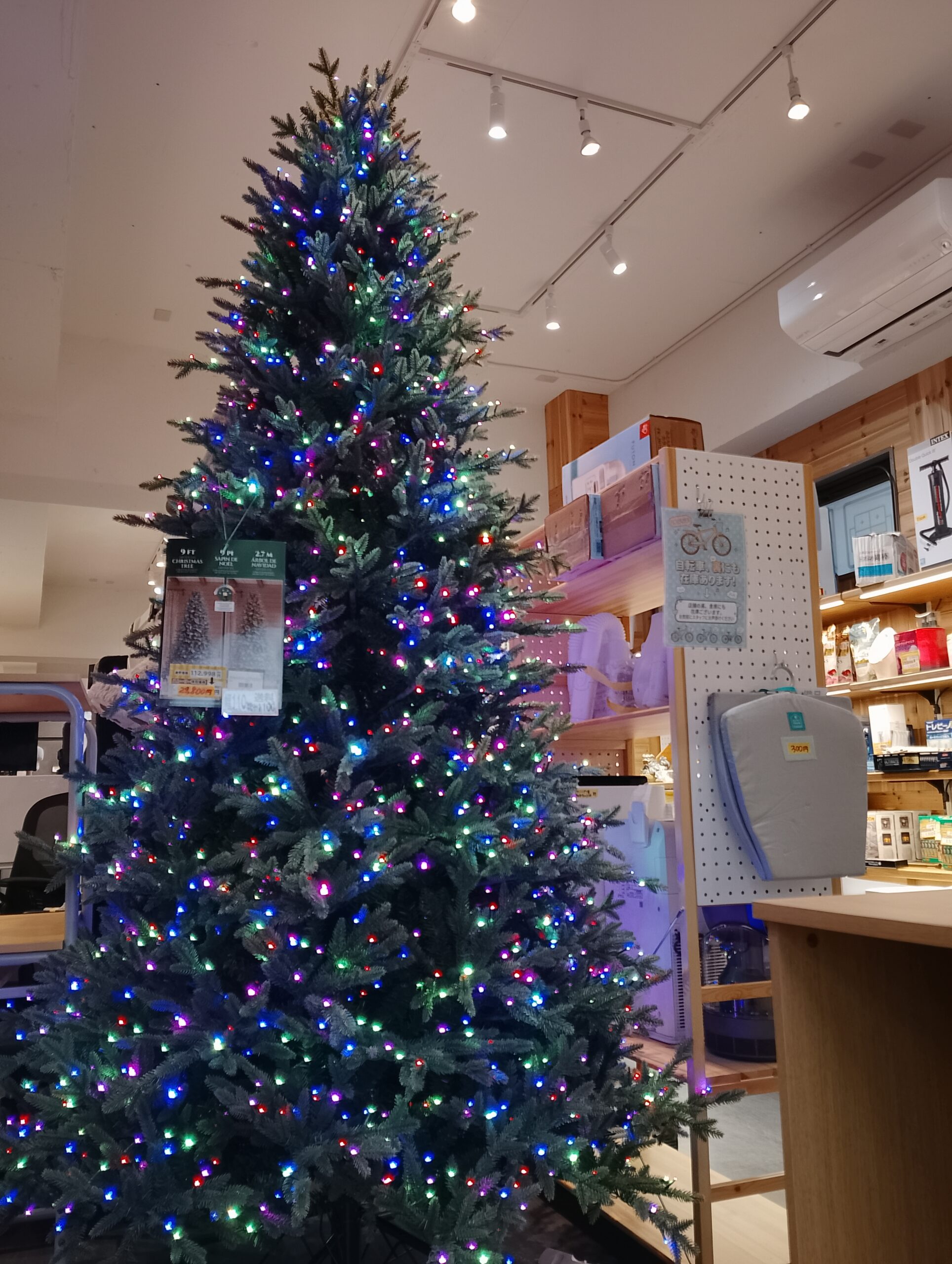 クリスマスツリー